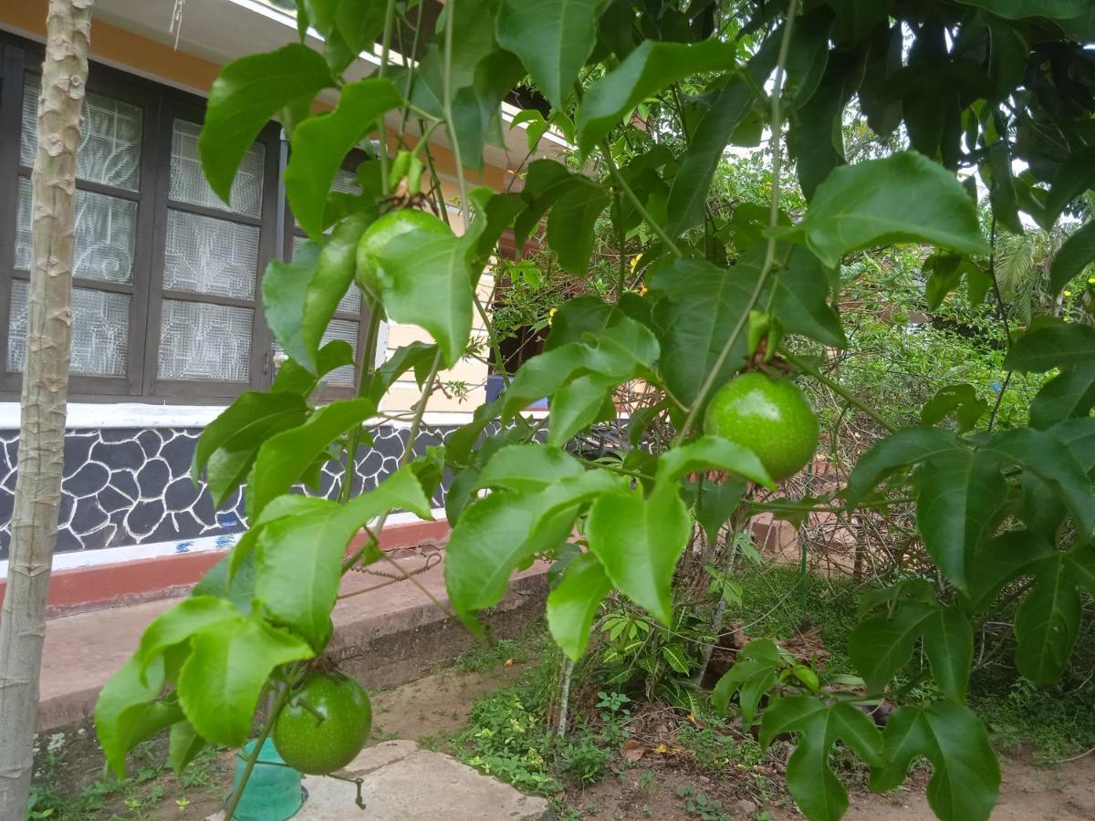 Sanaya Homestay Tangalle Εξωτερικό φωτογραφία